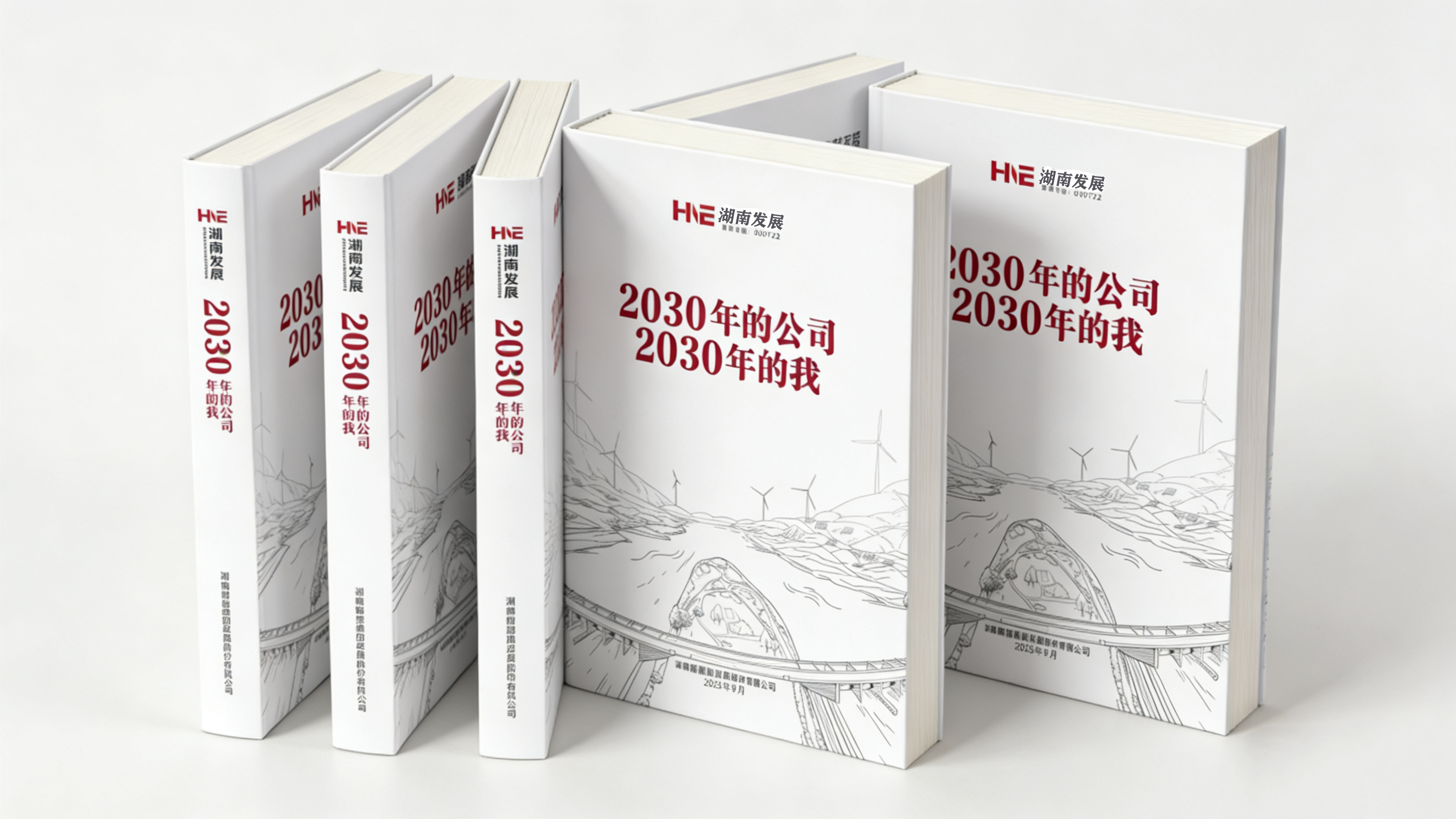 匯聚奮進力量  共話未來藍圖——湖南發展“2030年的公司2030年的我”系列主題活動圓滿收官